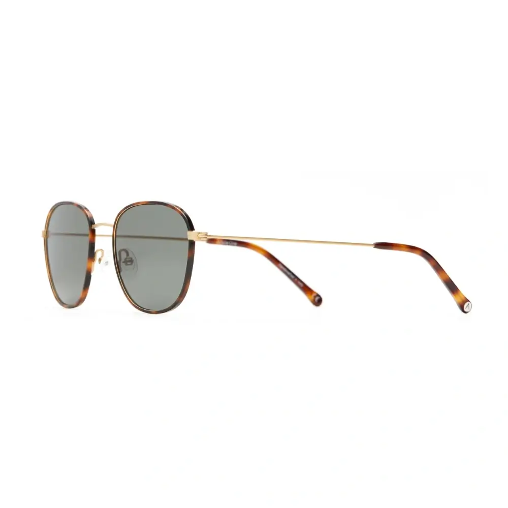 Article One polarized sunglasses