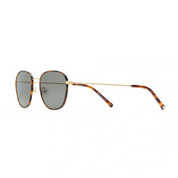 Article One polarized sunglasses