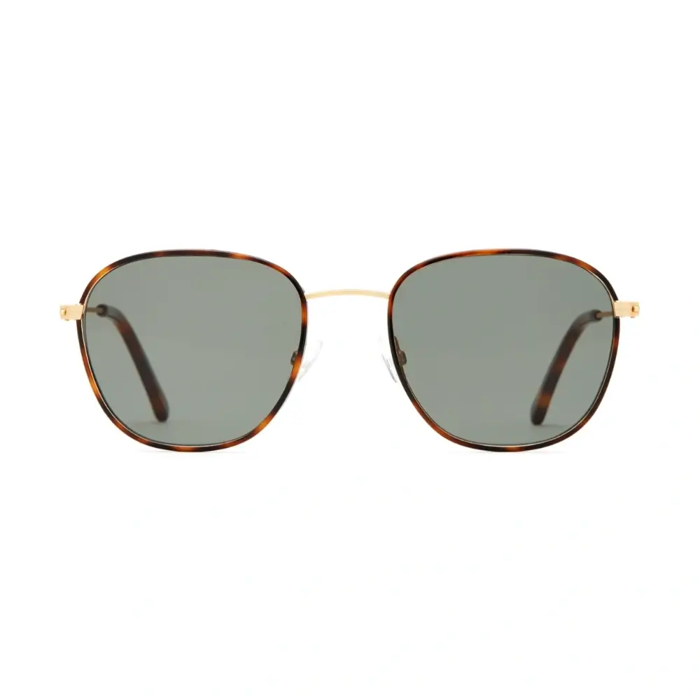 Article One polarized sunglasses