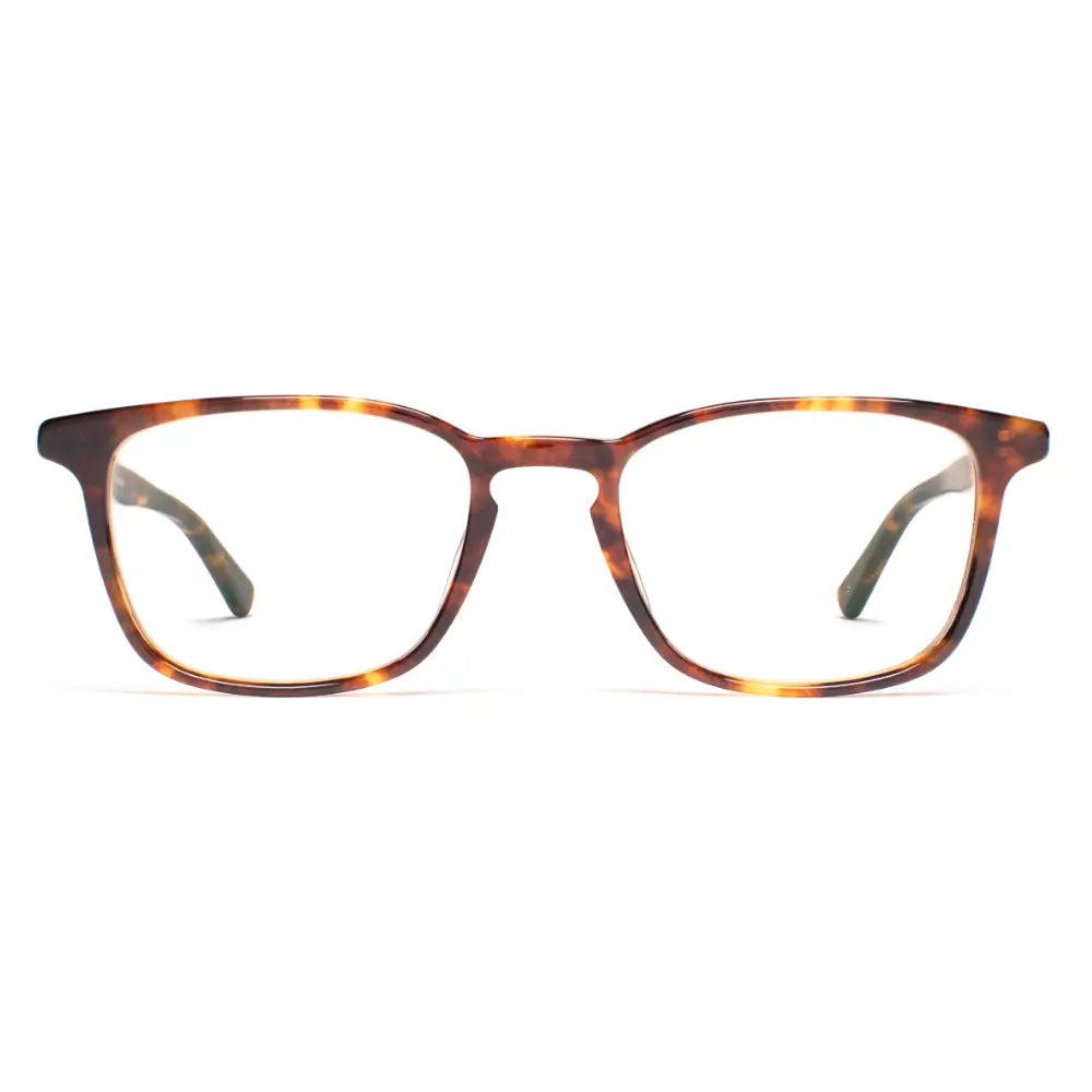 SALT luxury eyeglasses online at The Optical Co