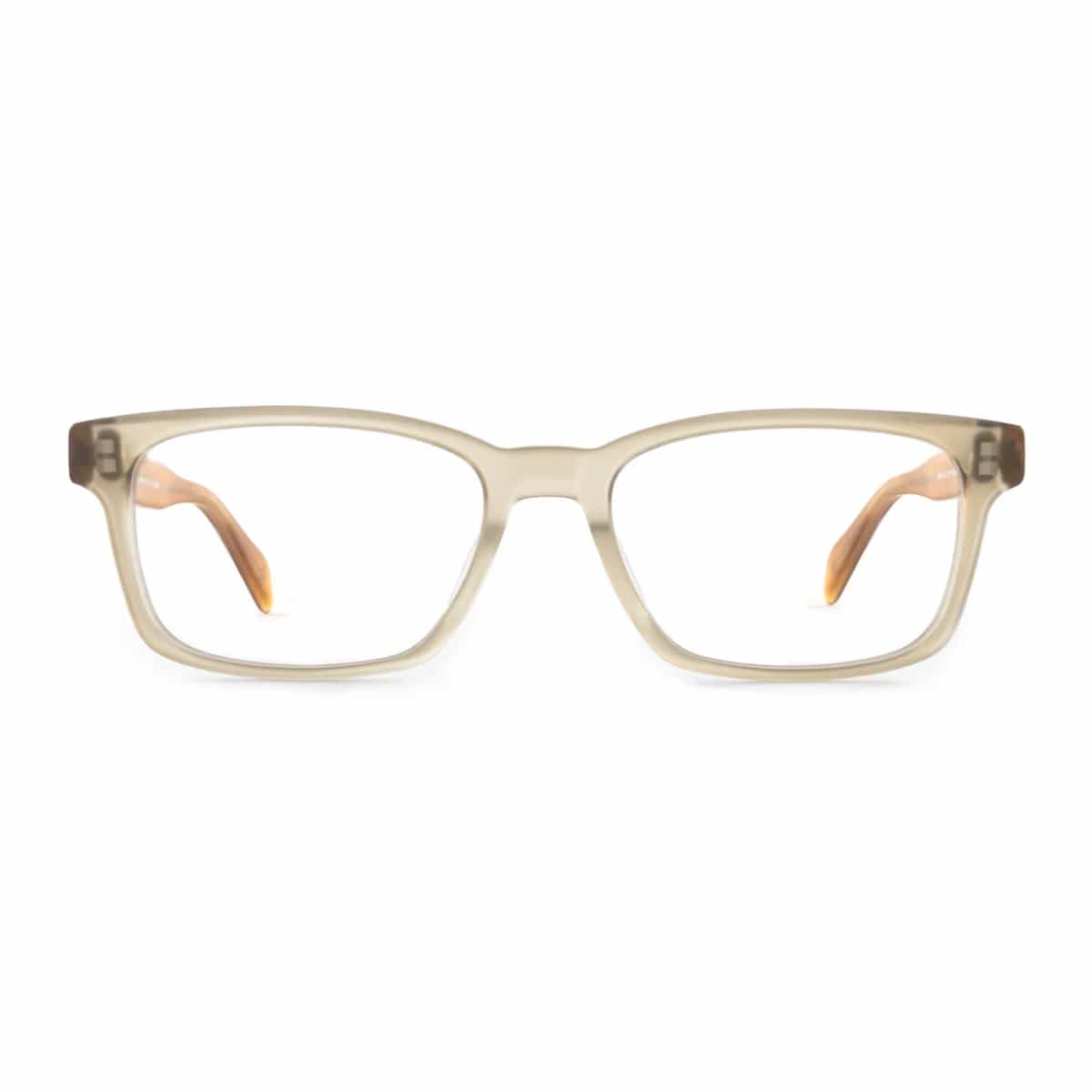 Matte tea Walter eyeglass frames by SALT on white background